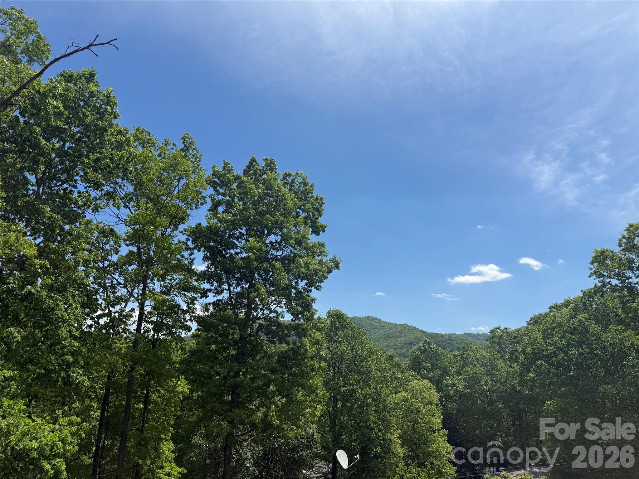39 Lisa Court Otto NC 28763