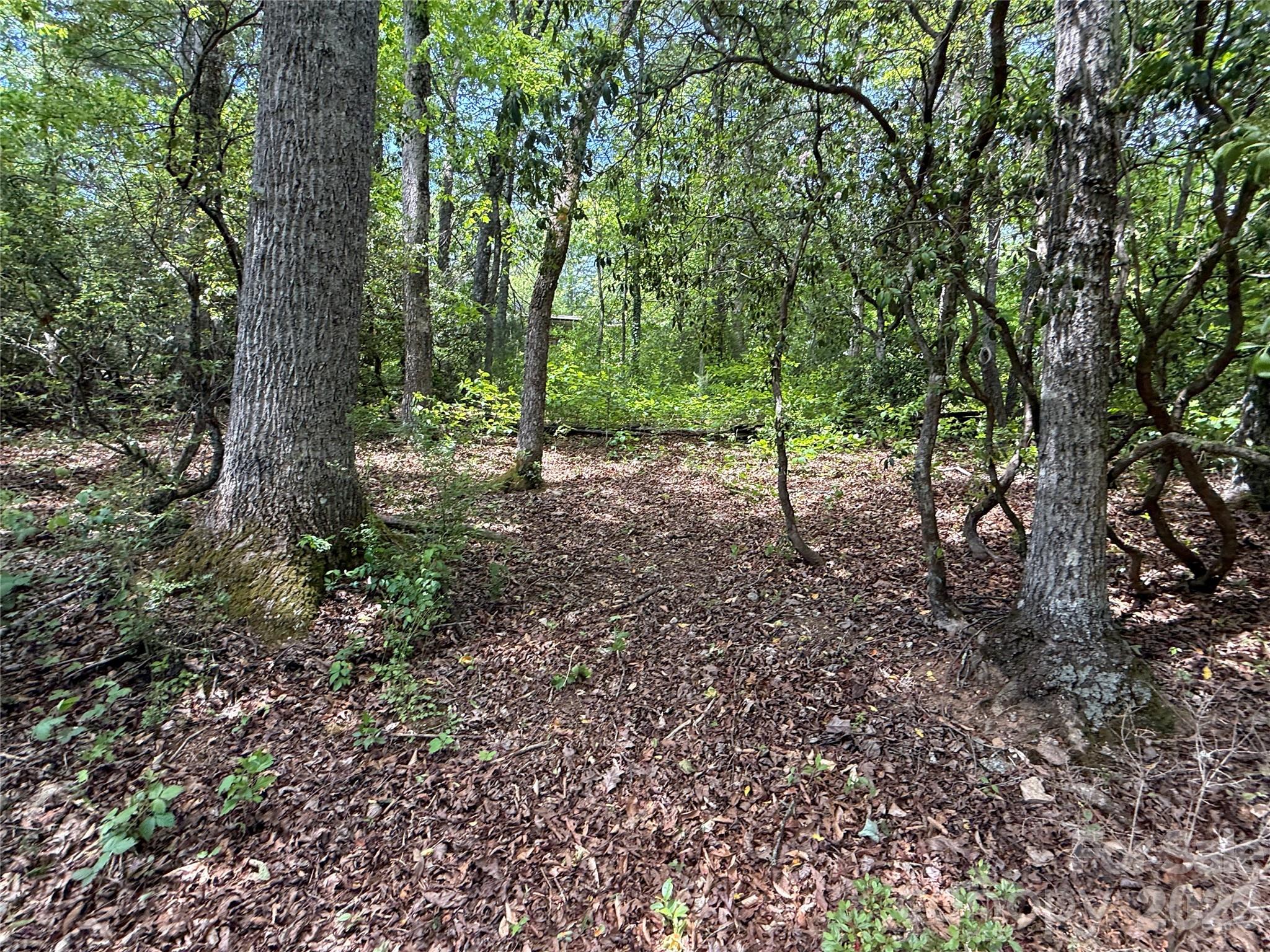 39 Lisa Court Otto NC 28763