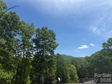 39 Lisa Court Otto NC 28763