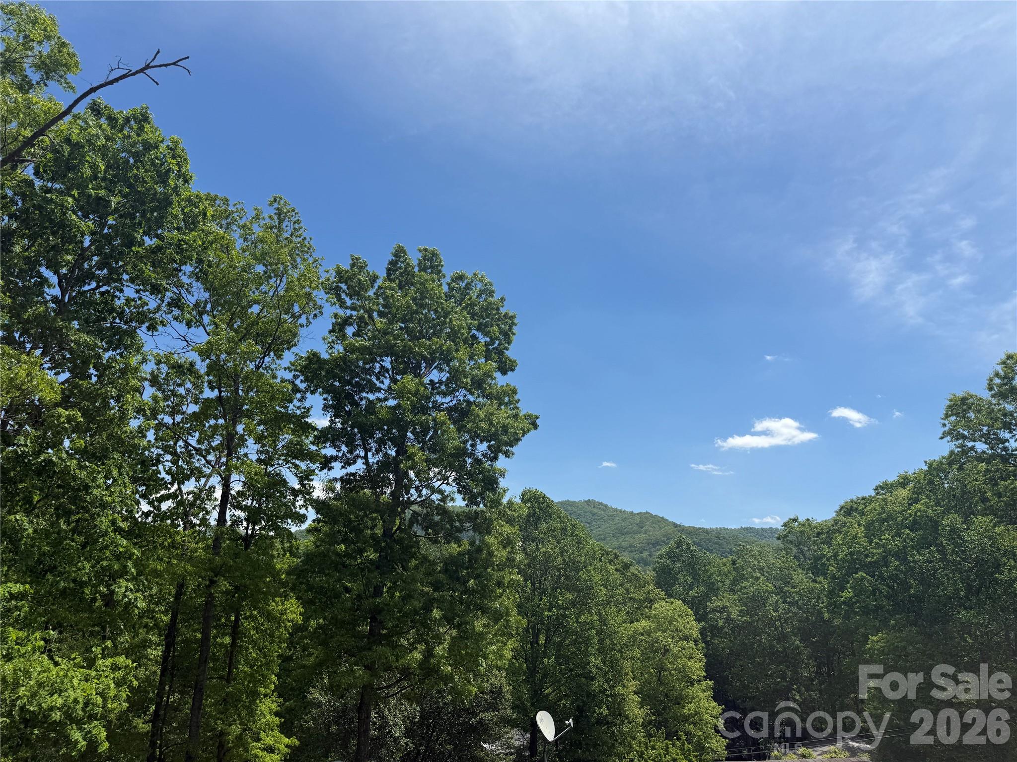 39 Lisa Court Otto NC 28763