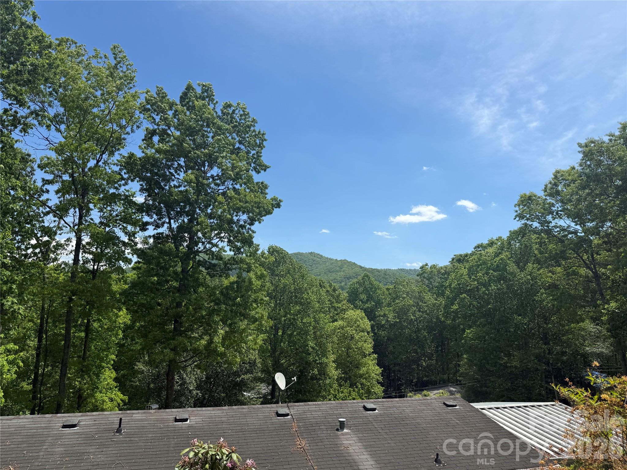 39 Lisa Court Otto NC 28763