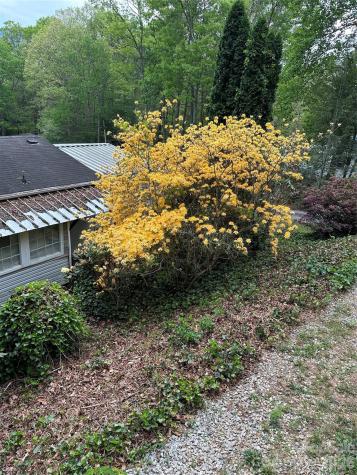 39 Lisa Court Otto NC 28763
