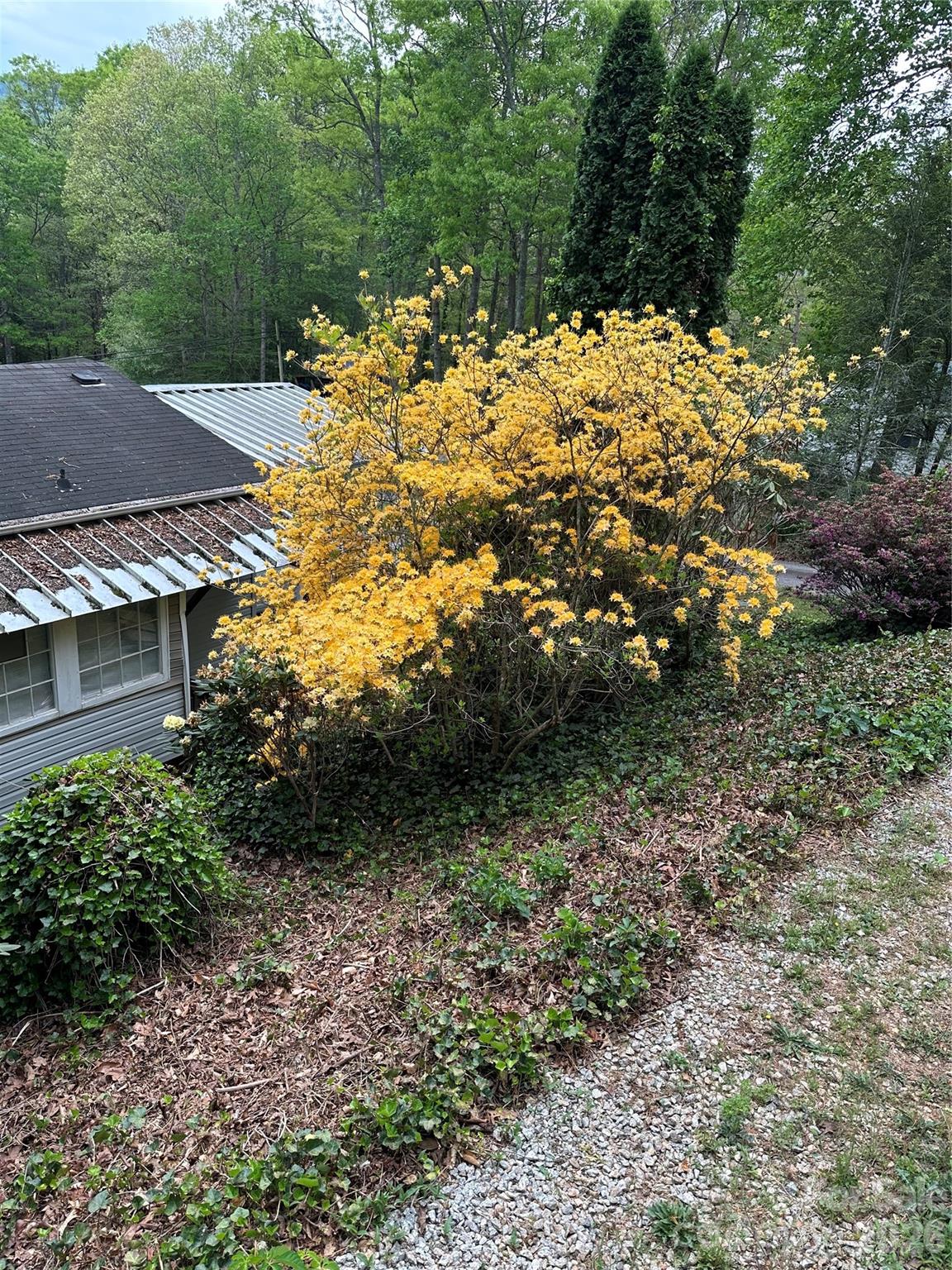 39 Lisa Court Otto NC 28763