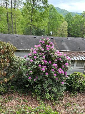 39 Lisa Court Otto NC 28763