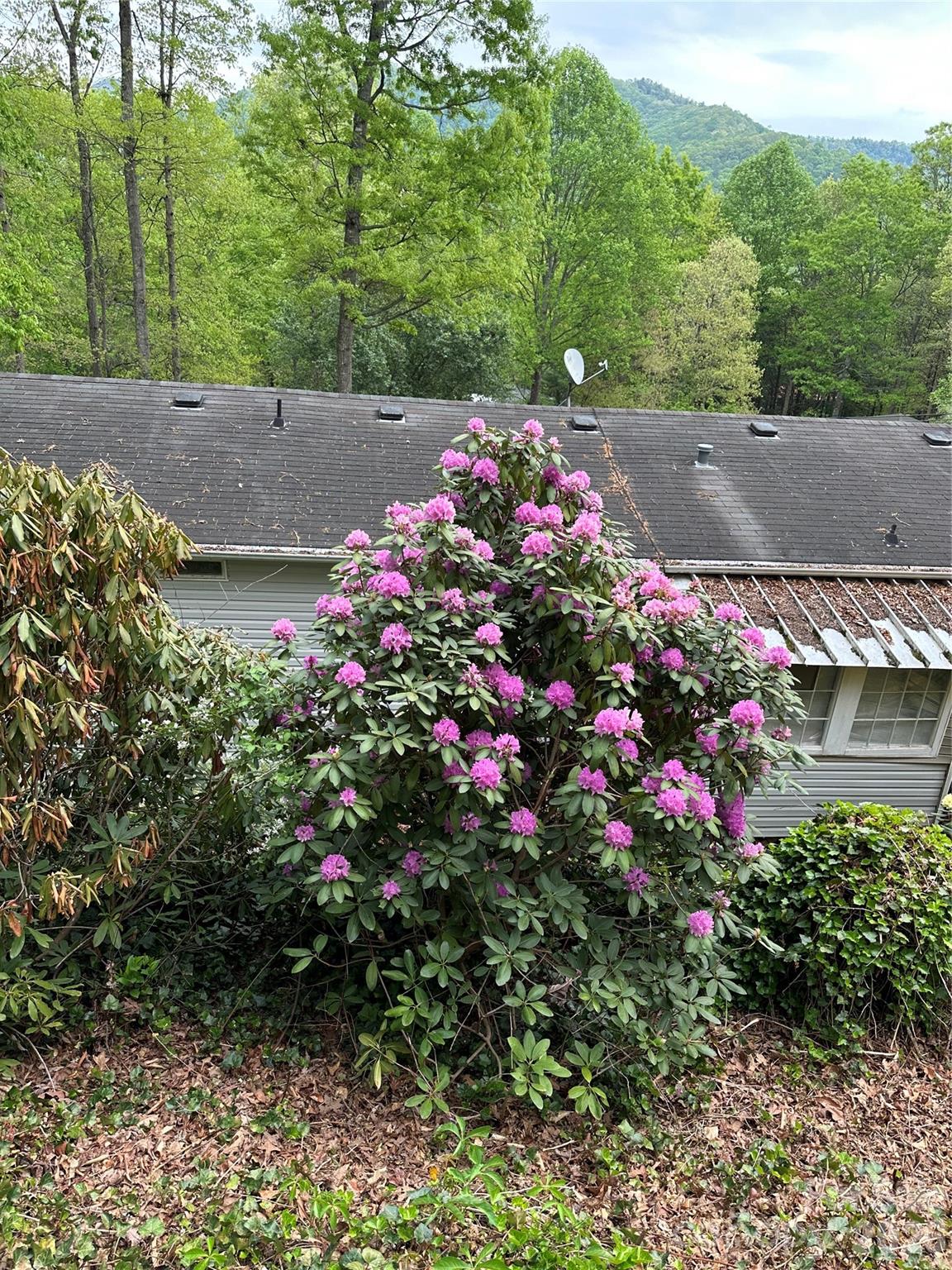 39 Lisa Court Otto NC 28763