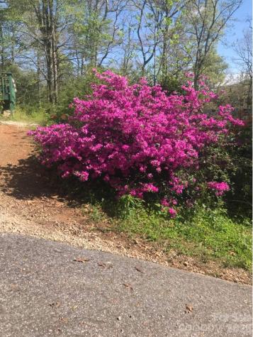39 Lisa Court Otto NC 28763