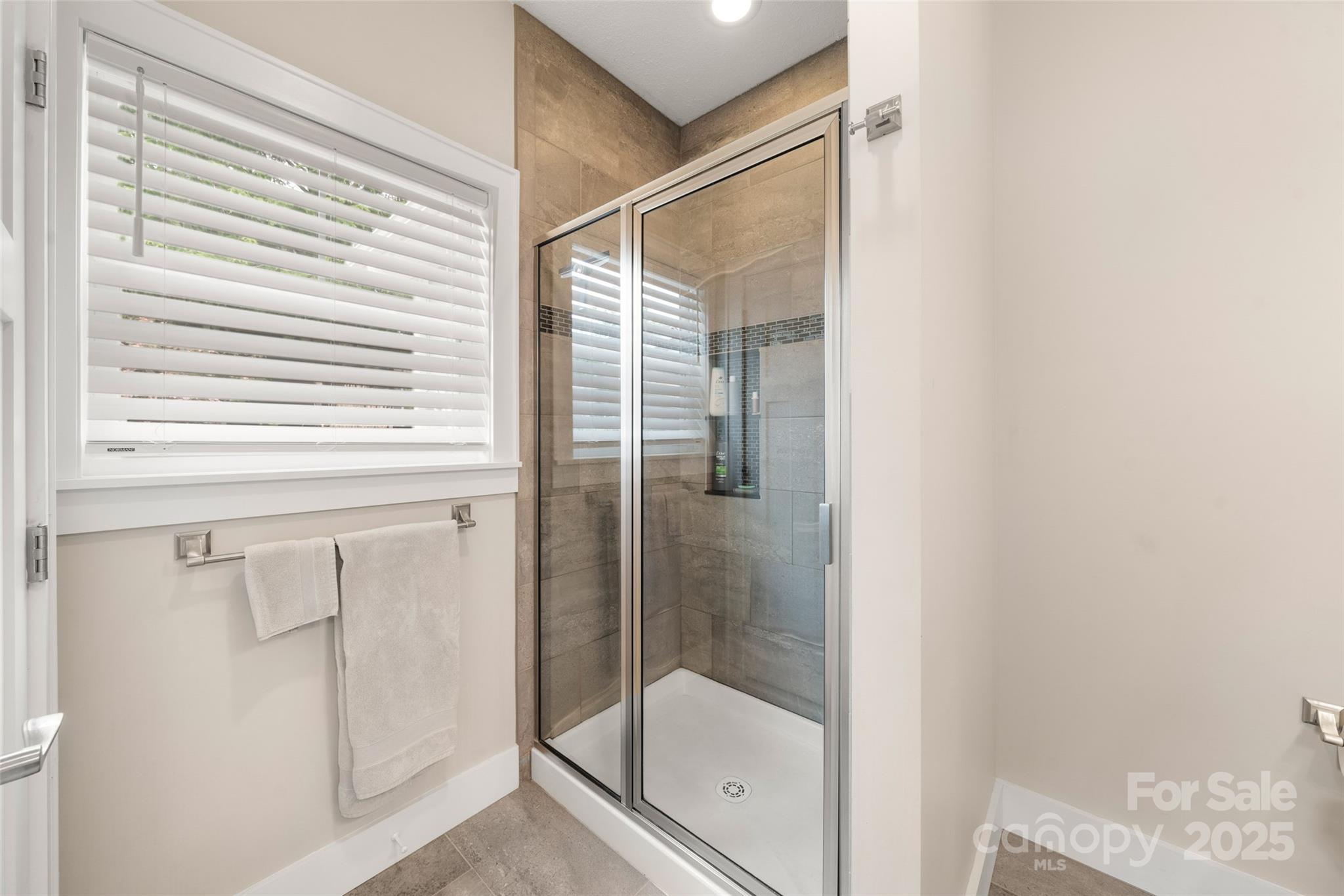 9 Vedder Way Swannanoa NC 28778