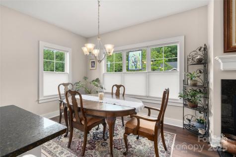 9 Vedder Way Swannanoa NC 28778
