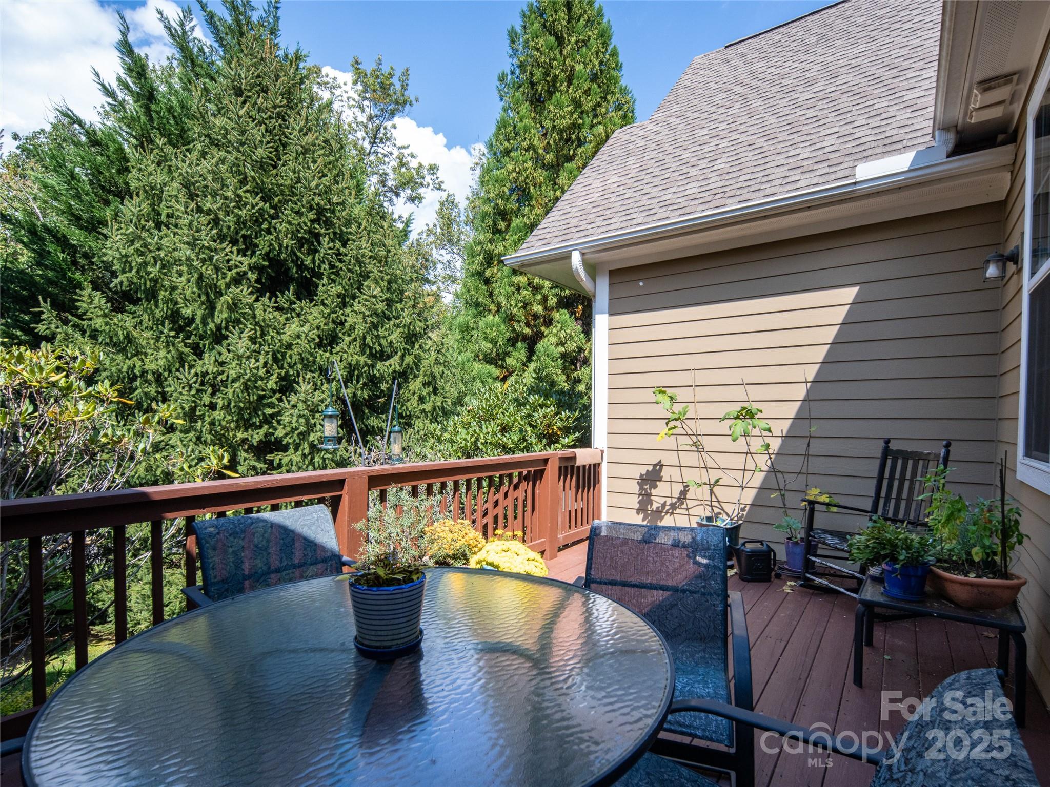 26 Black Horse Run Biltmore Lake NC 28715