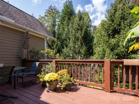 26 Black Horse Run Biltmore Lake NC 28715