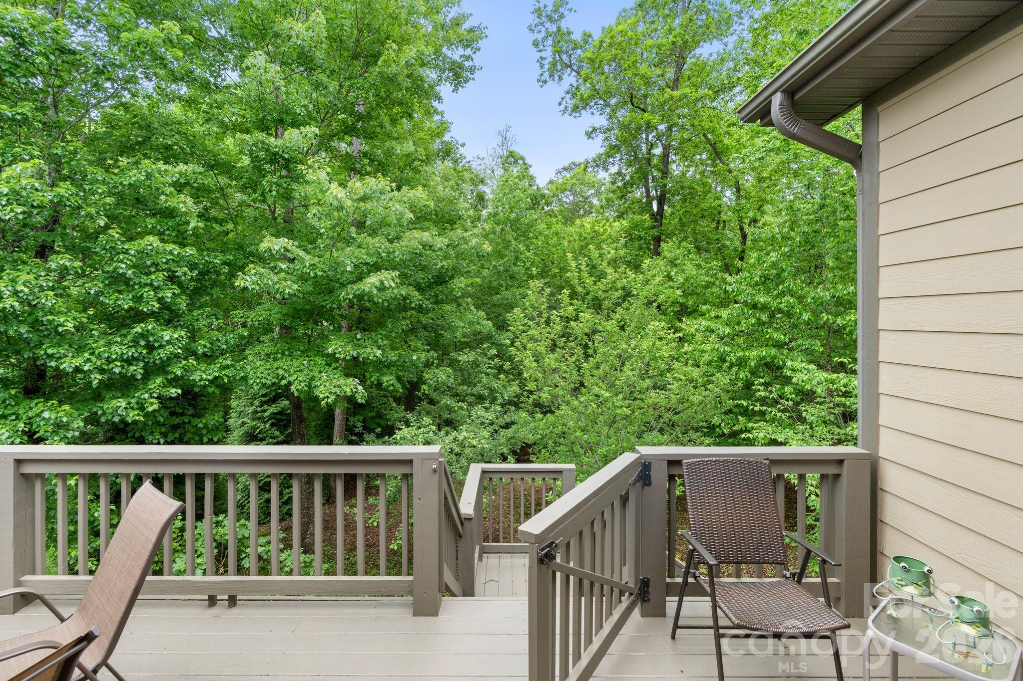 316 Fennel Dun Circle Biltmore Lake NC 28715