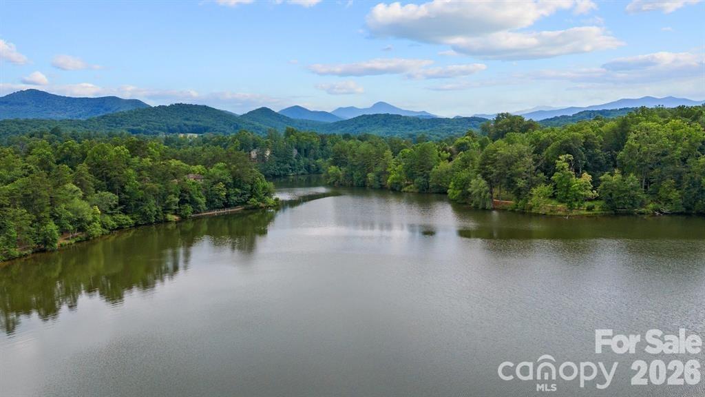 316 Fennel Dun Circle Biltmore Lake NC 28715