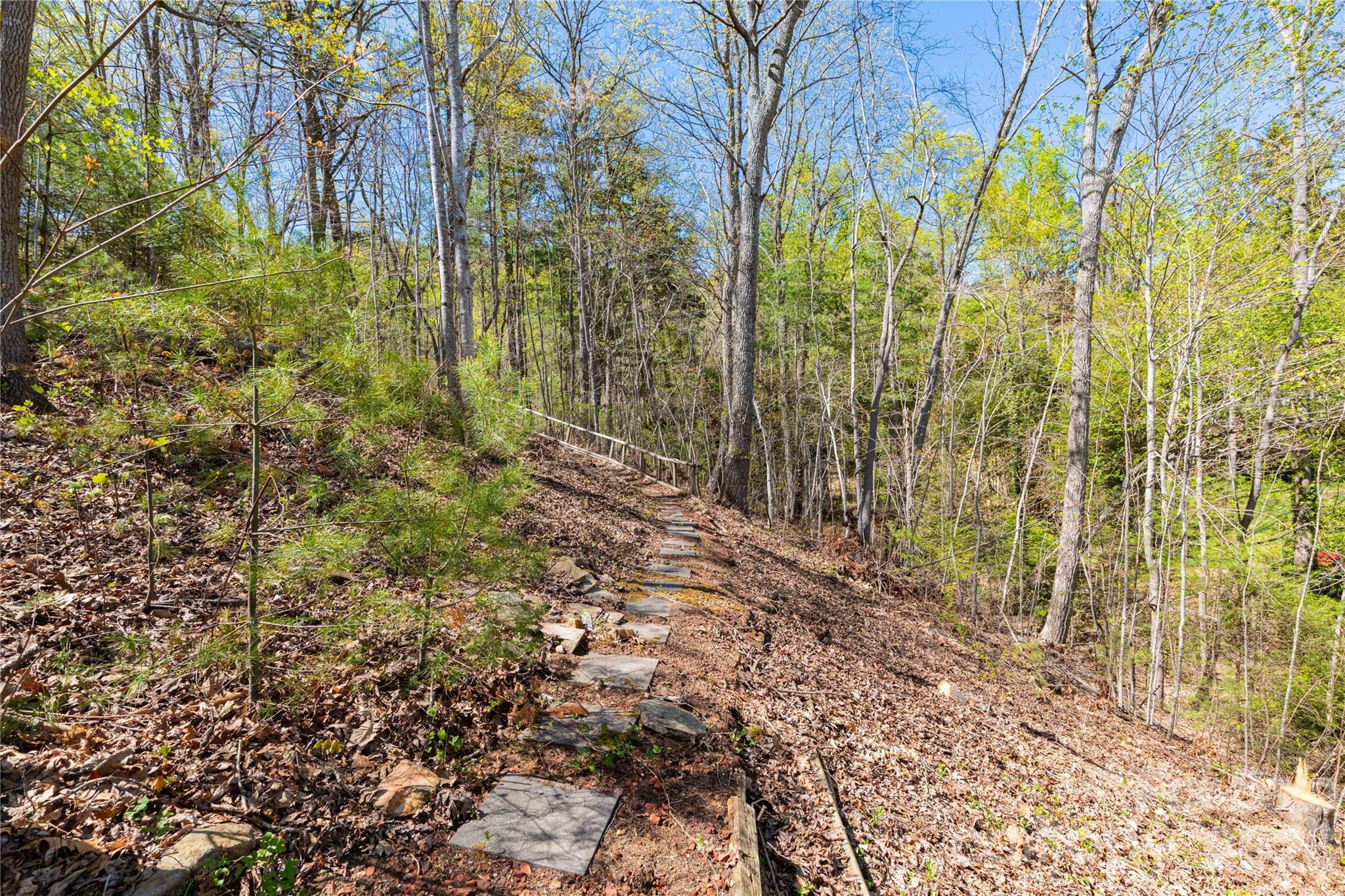 22 Robinhood Road Asheville NC 28804