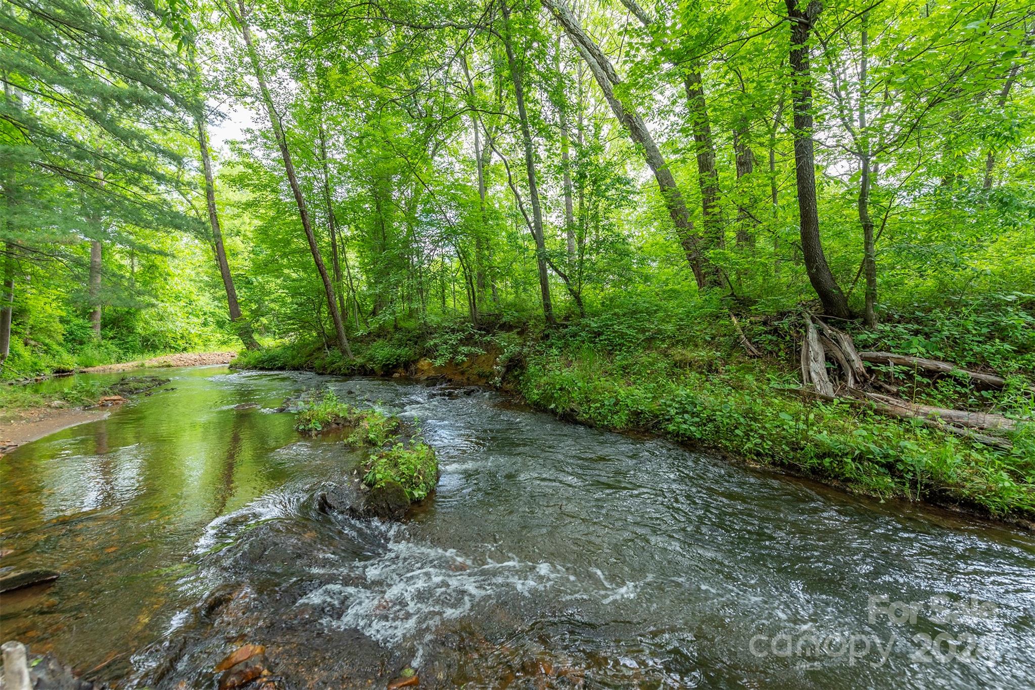 109 Dilling Avenue Black Mountain NC 28711