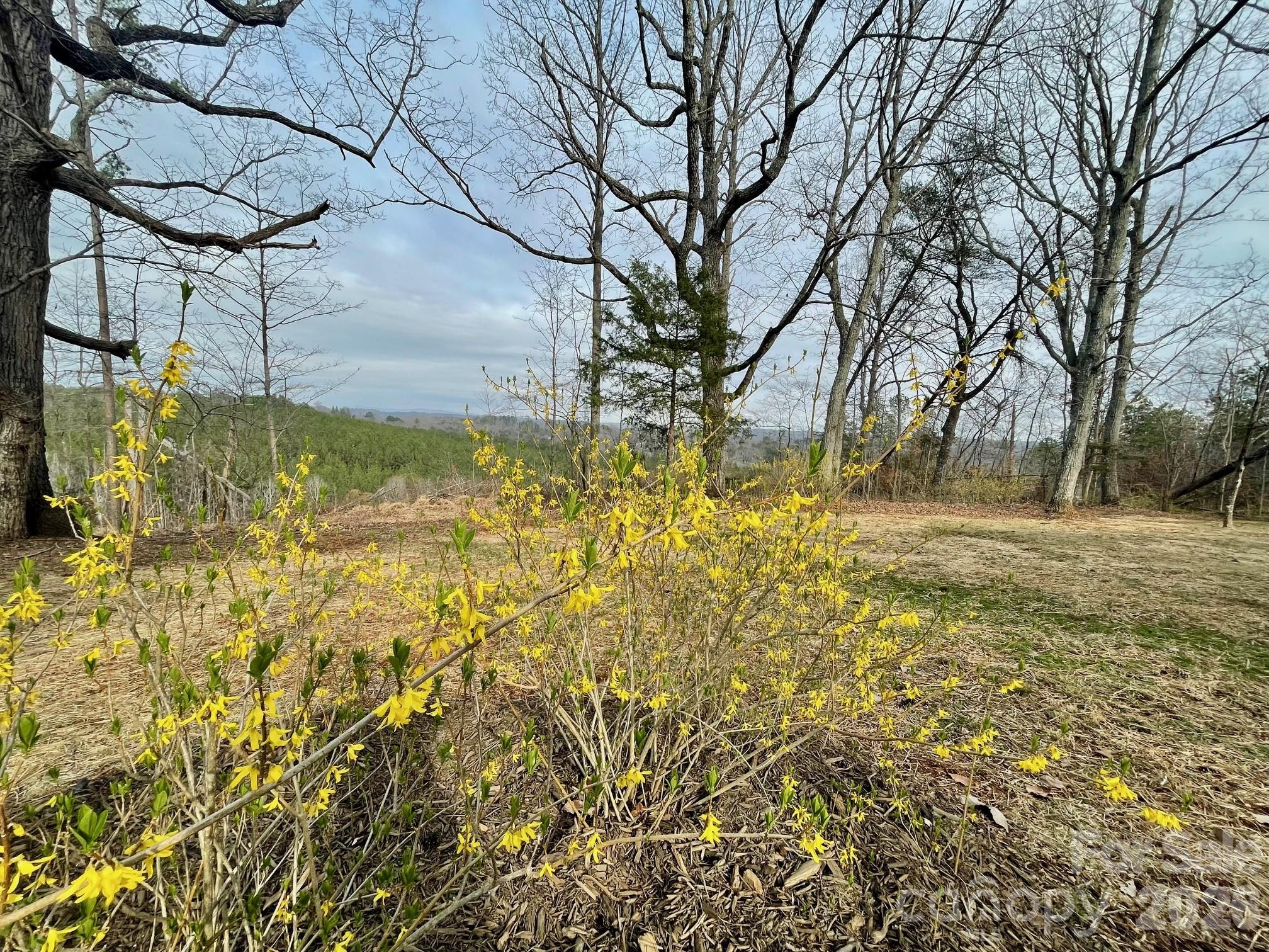 517 Union Road Rutherfordton NC 28139
