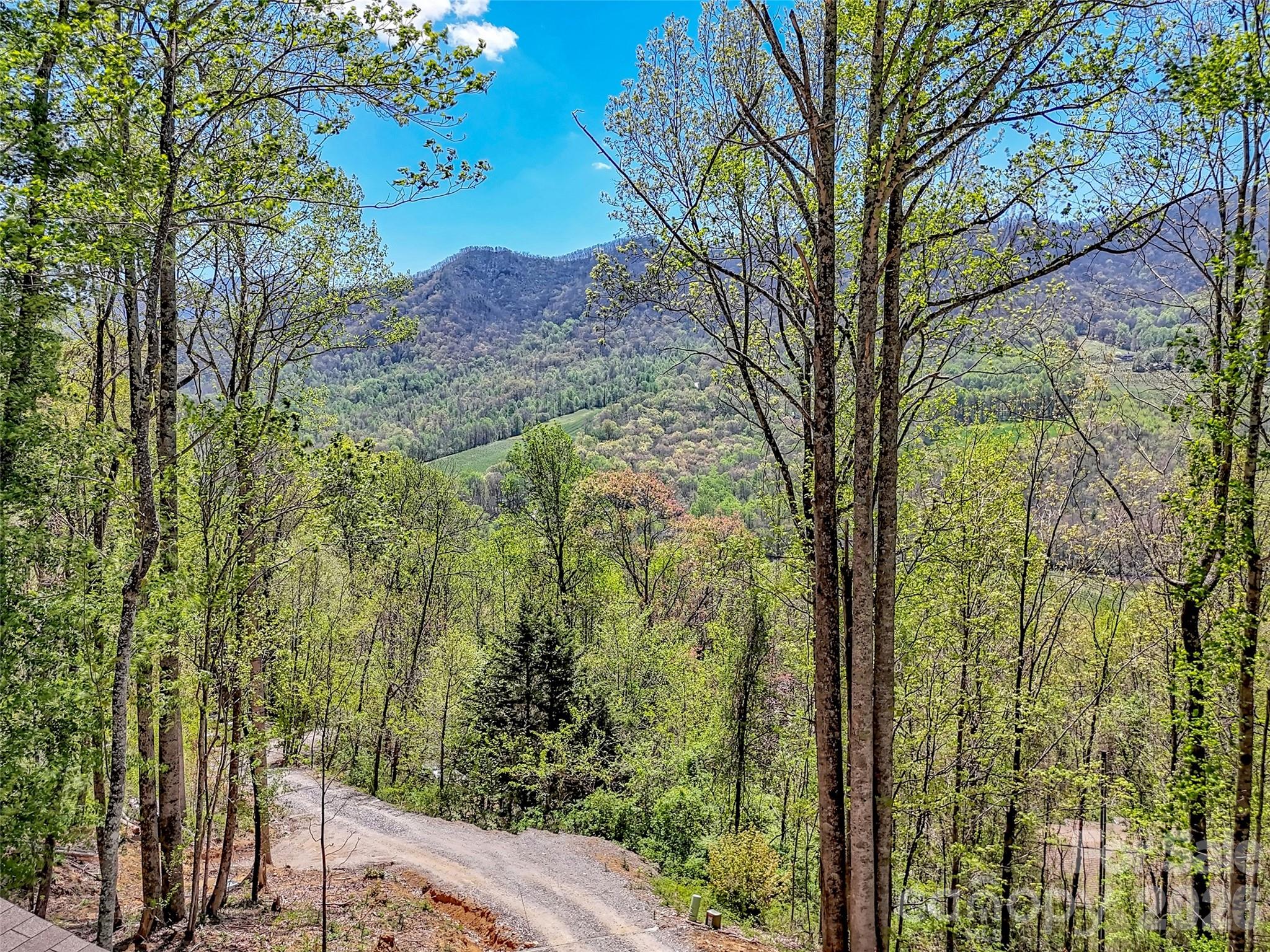 424 Arrington Acres Drive Waynesville NC 28786