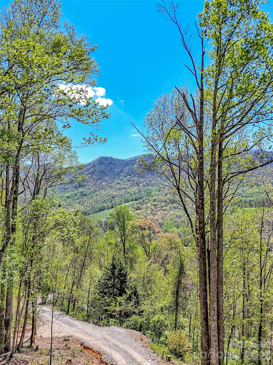 424 Arrington Acres Drive Waynesville NC 28786