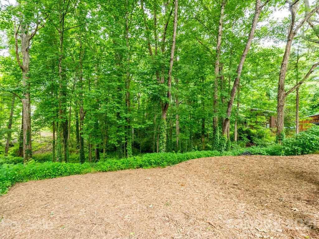 4 Singing Canary Lane Asheville NC 28805