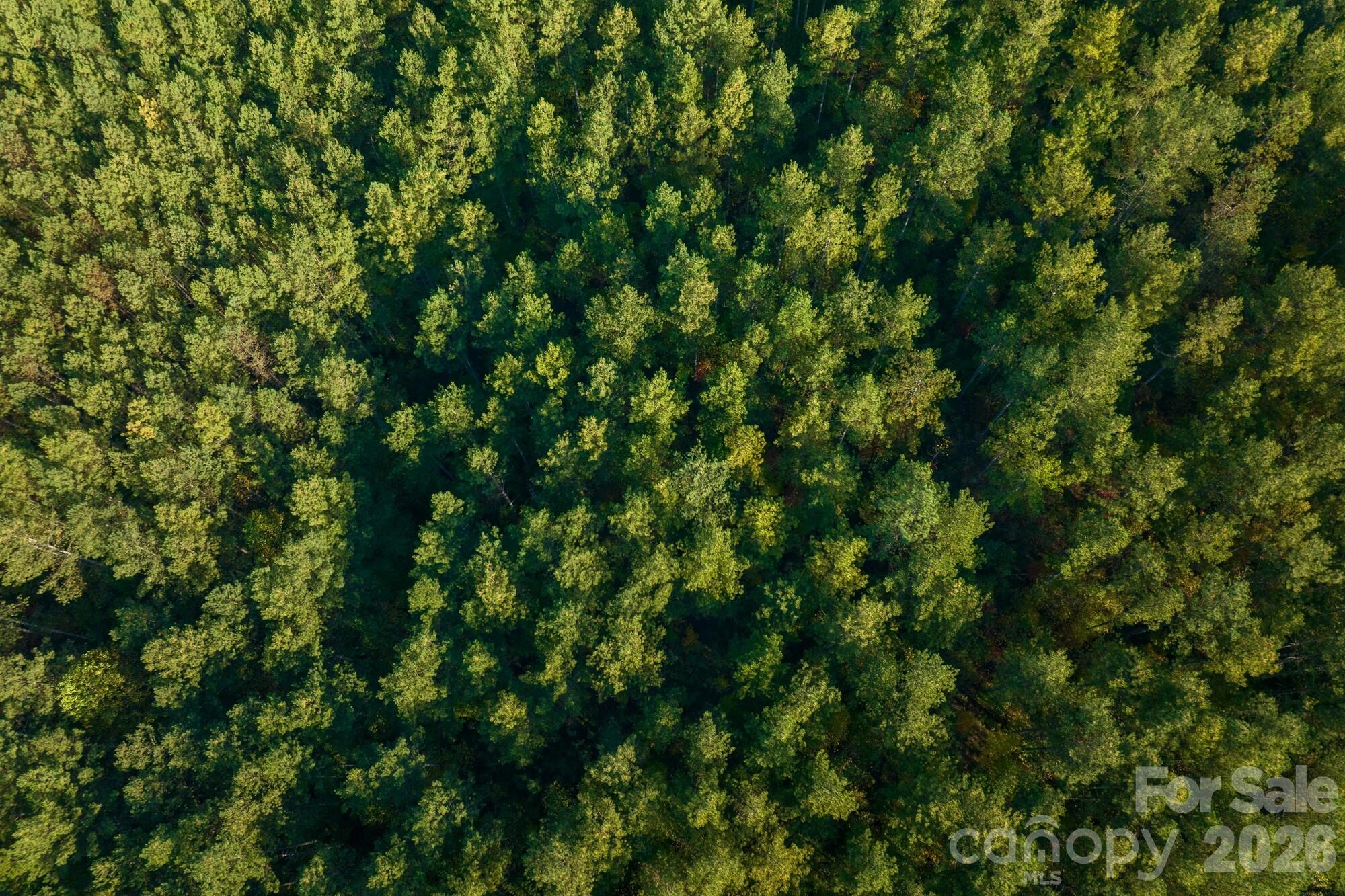 2108 River Hill Road Murphy NC 28906