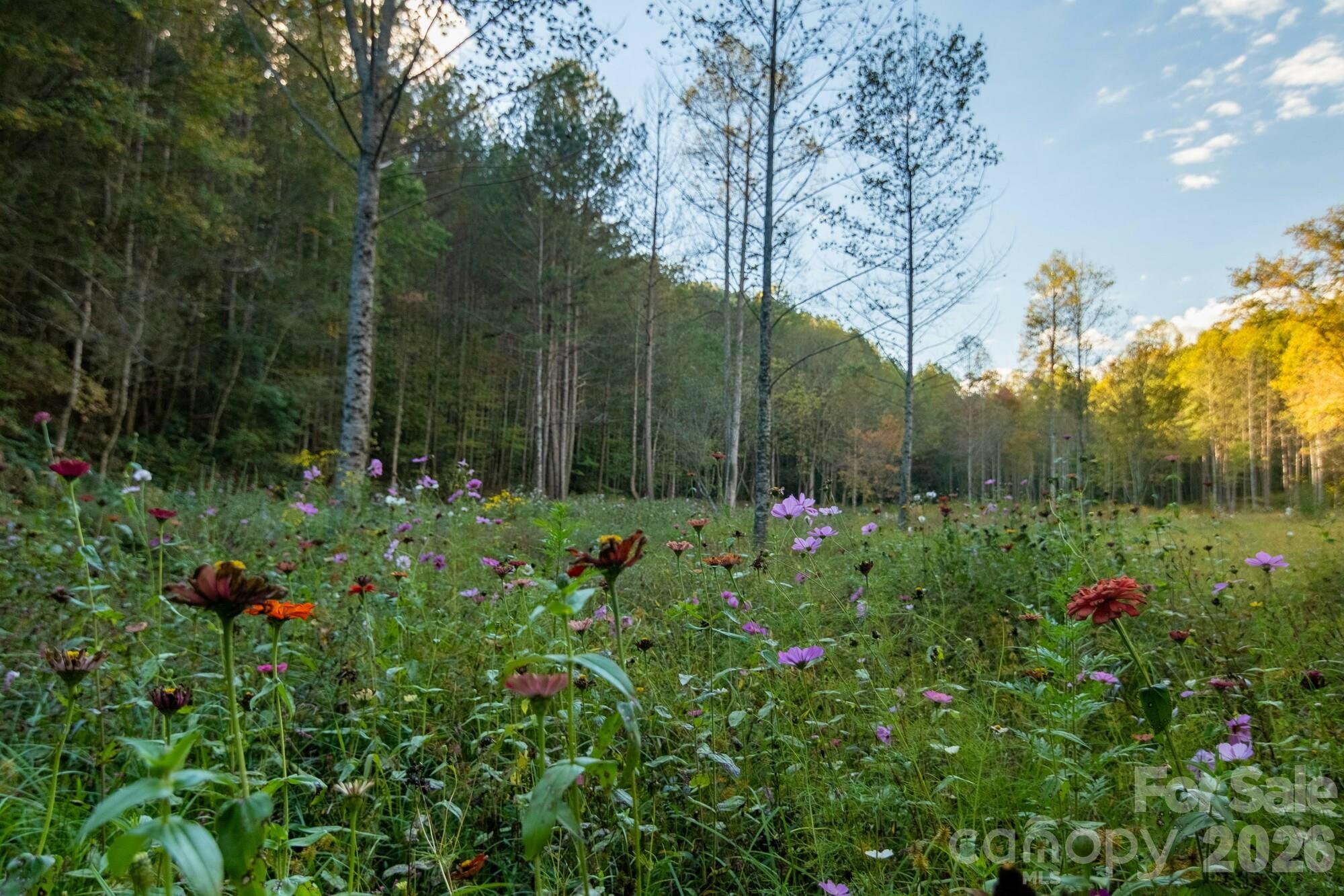 2108 River Hill Road Murphy NC 28906
