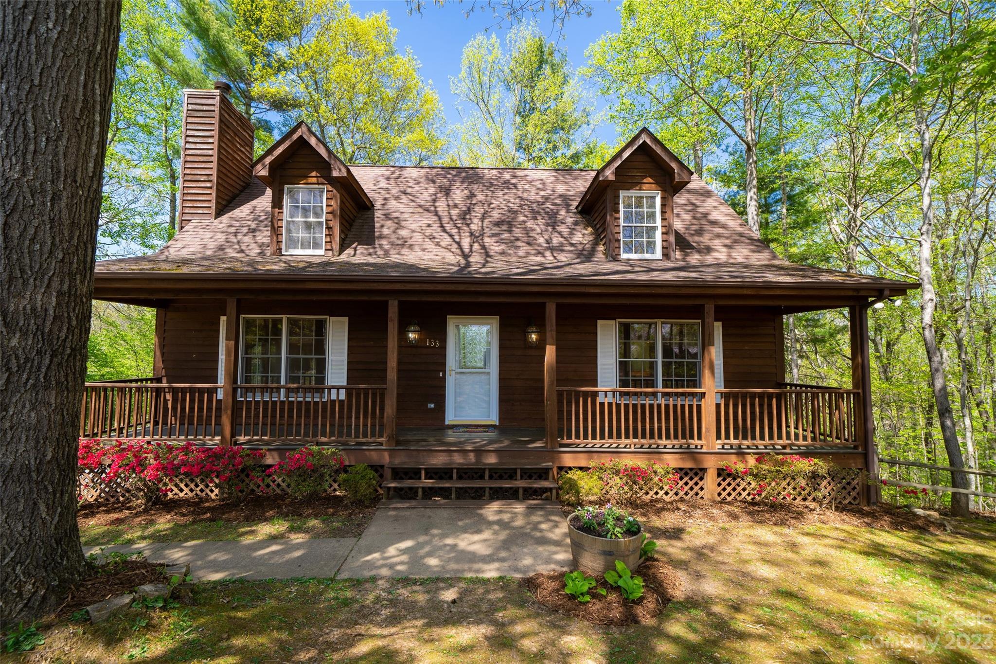133 Buffalo Trail Asheville NC 28805
