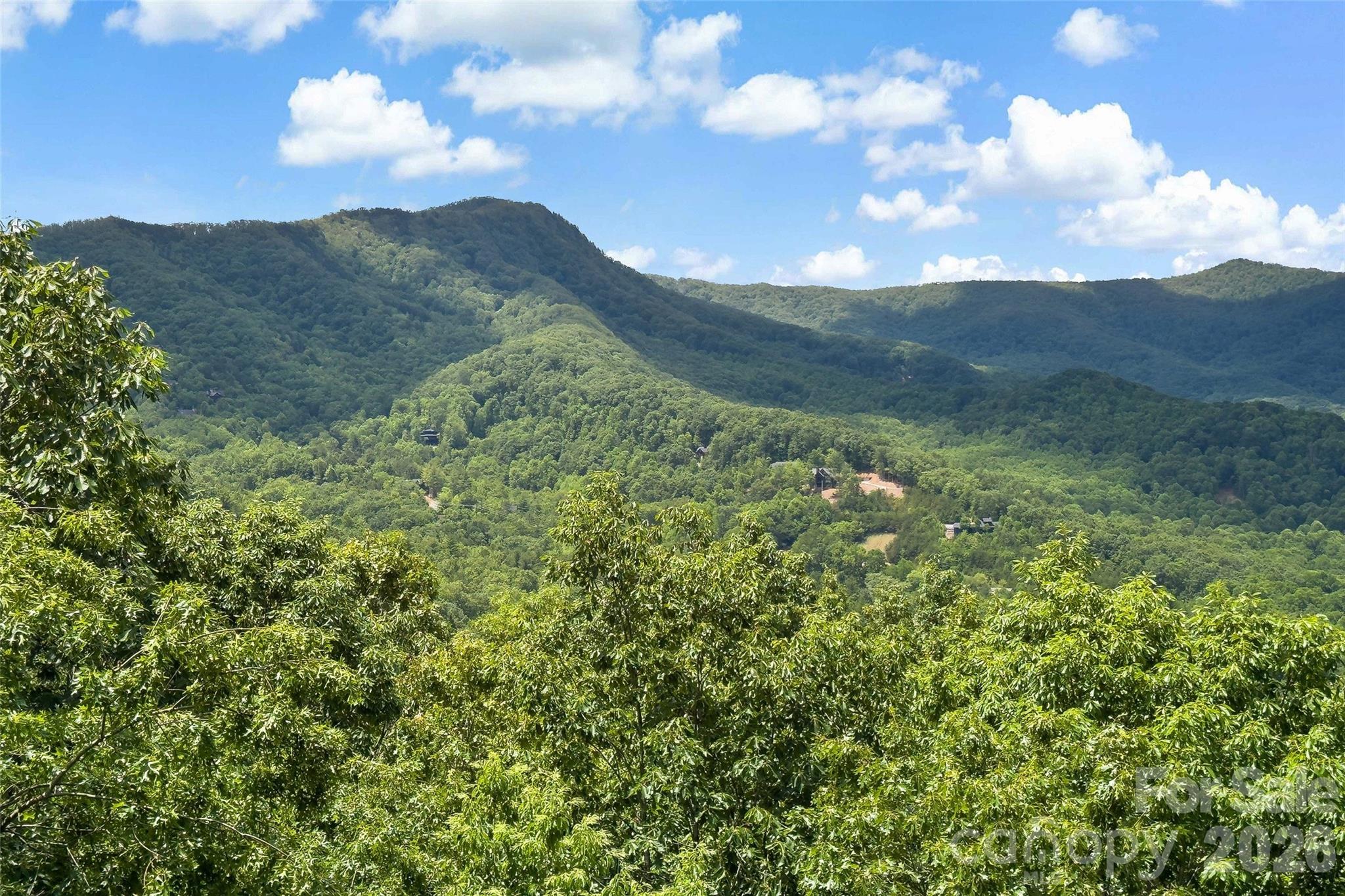 65 Timber Park Drive Black Mountain NC 28711