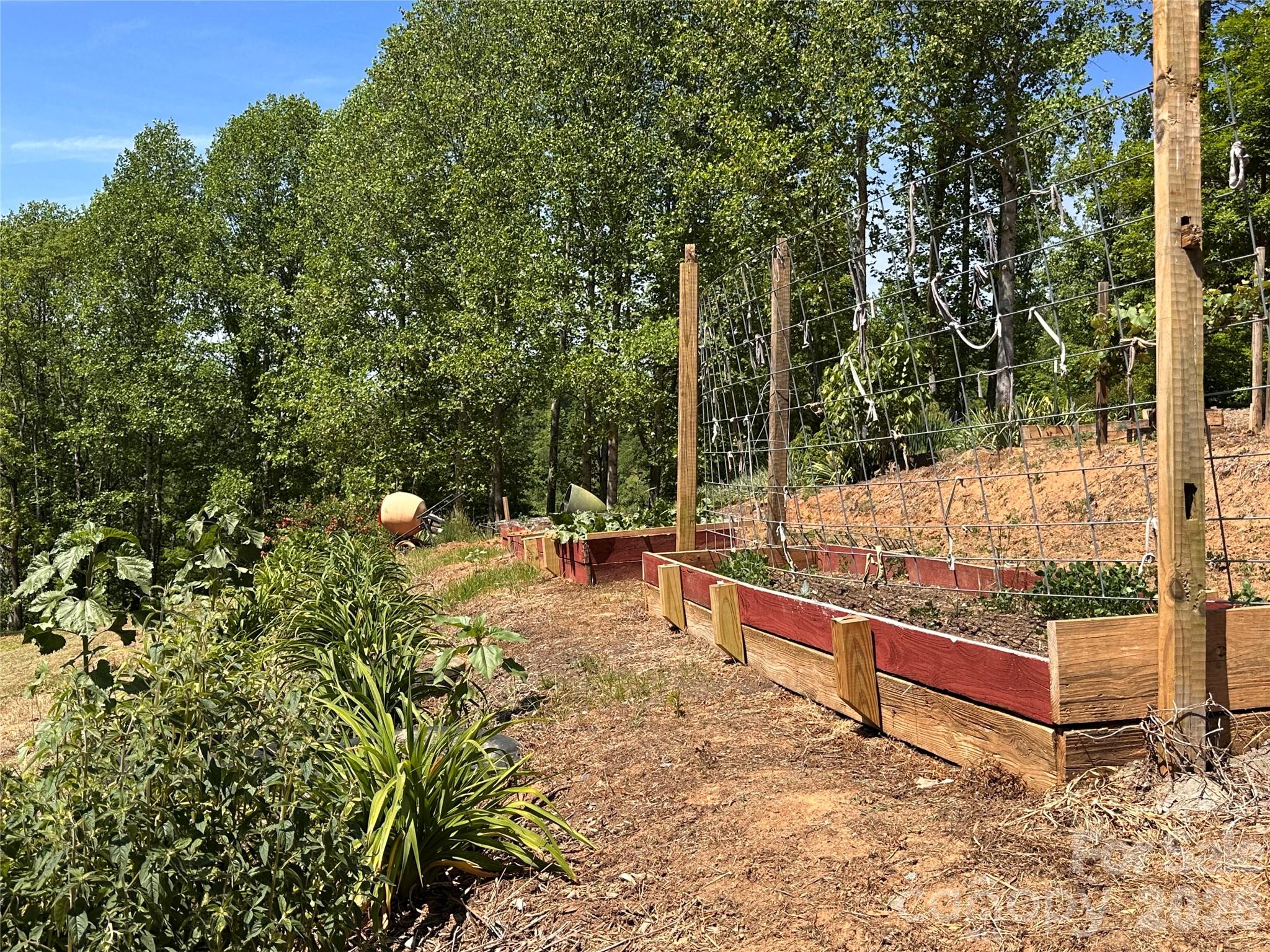 2825 Harrell Hill Road Bakersville NC 28705