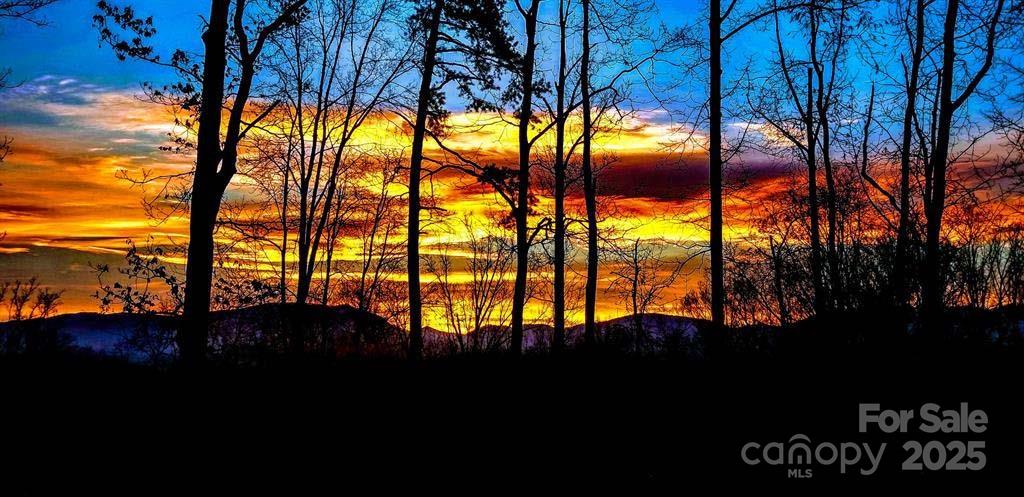 16 Faulkner Avenue Asheville NC 28805