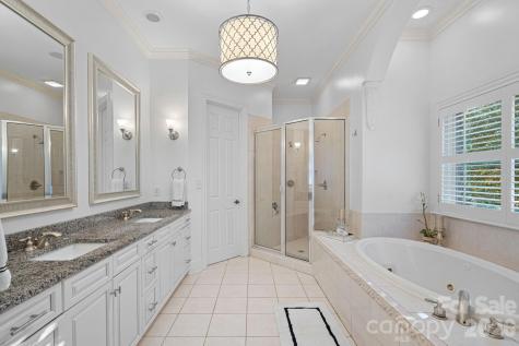 18823 Peninsula Cove Lane Cornelius NC 28031