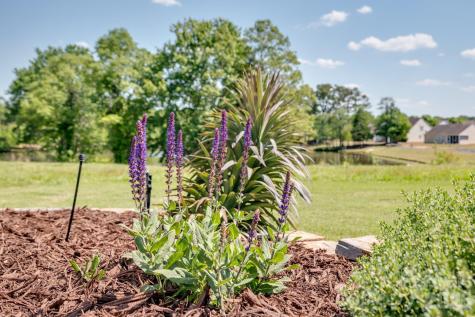 3096 Ambleside Drive Fort Mill SC 29707