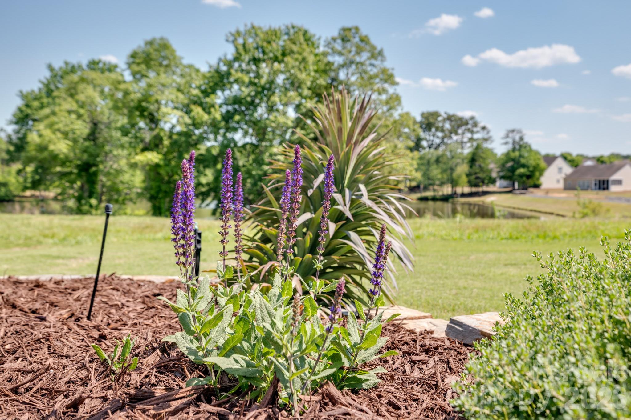 3096 Ambleside Drive Fort Mill SC 29707