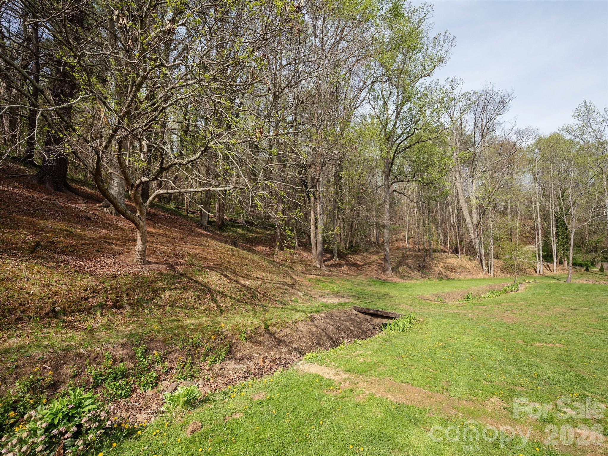 91 Rice Branch Road Asheville NC 28804