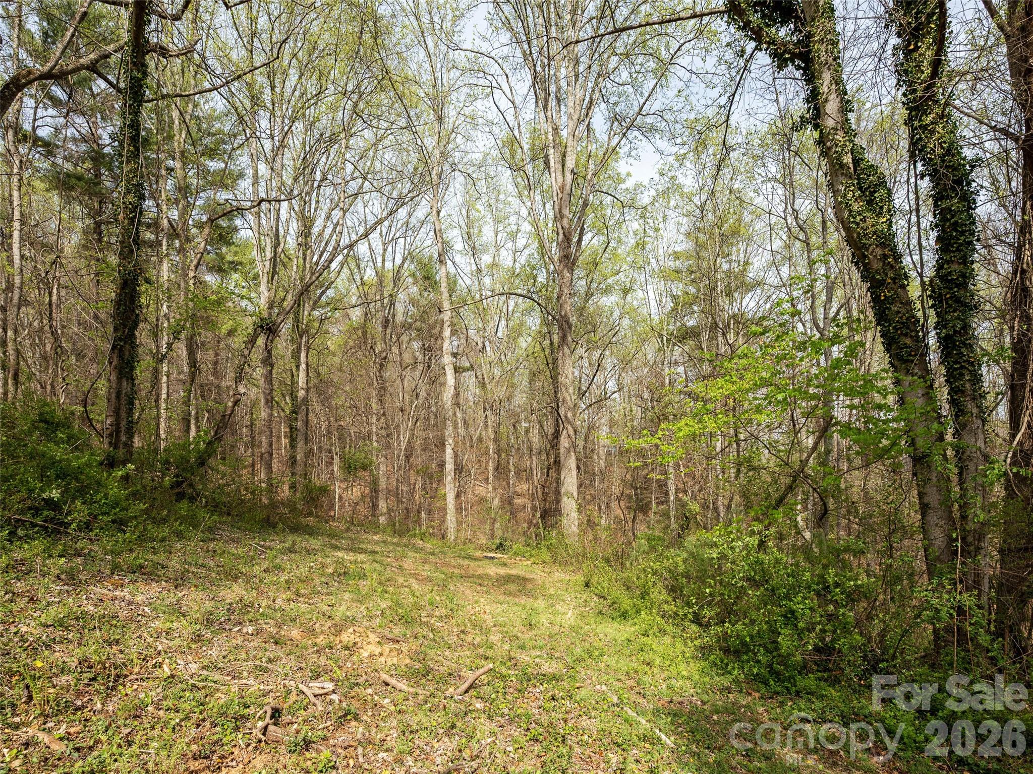 91 Rice Branch Road Asheville NC 28804