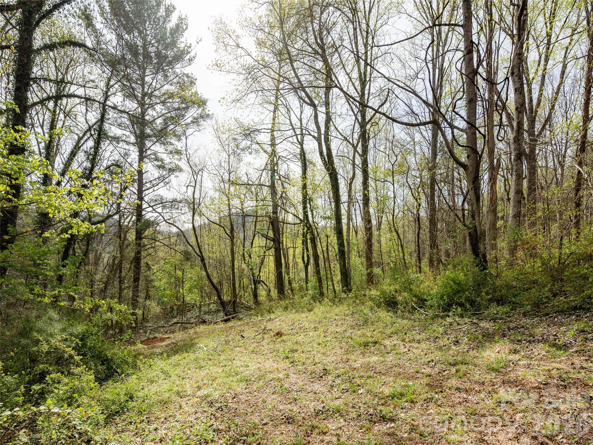 91 Rice Branch Road Asheville NC 28804