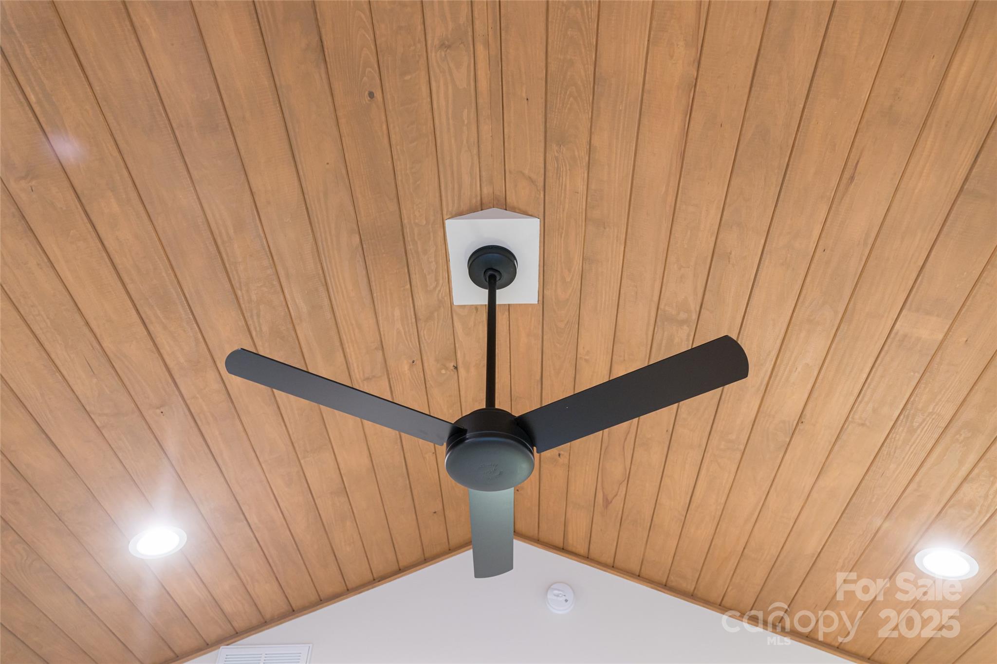 30 Acona Lane Asheville NC 28803