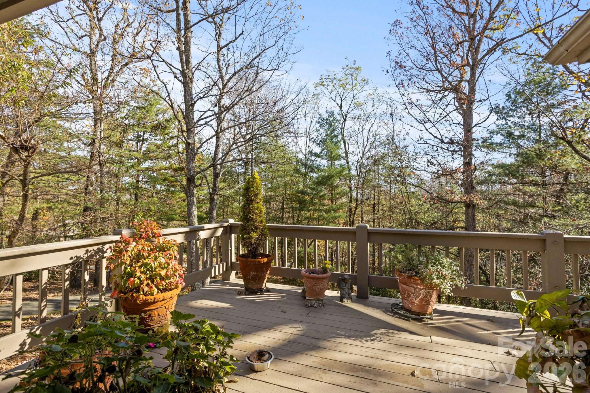 231 Greenleaf Drive Flat Rock NC 28731