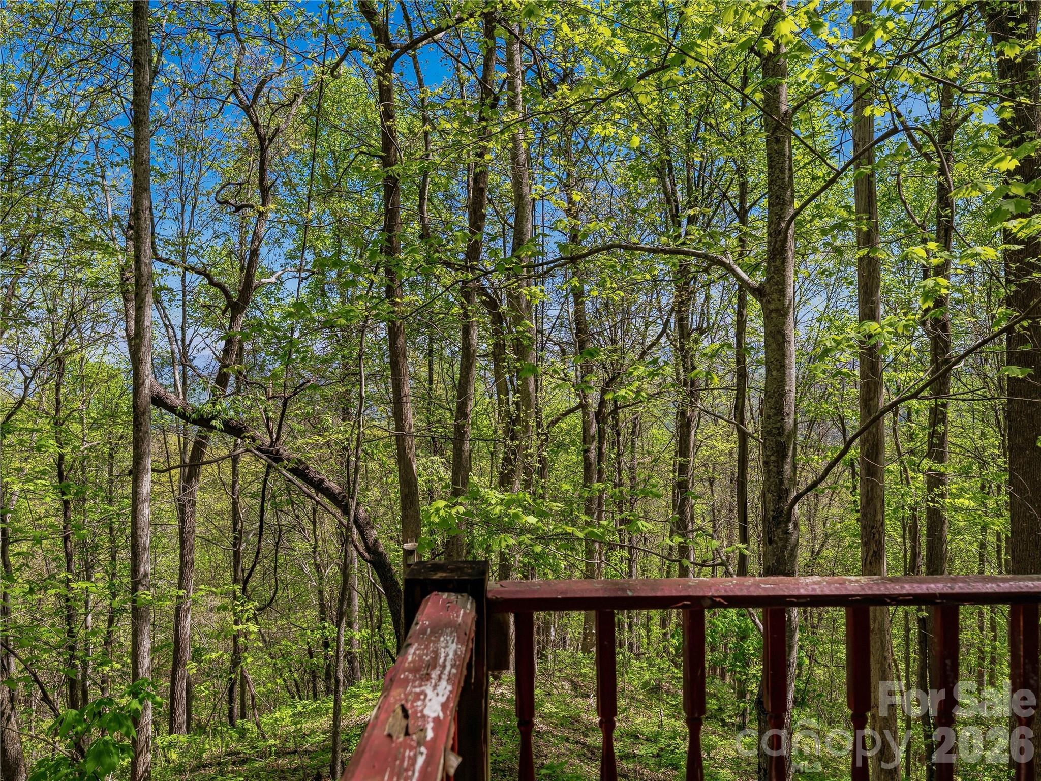 3167 Lumptown Road Marshall NC 28753