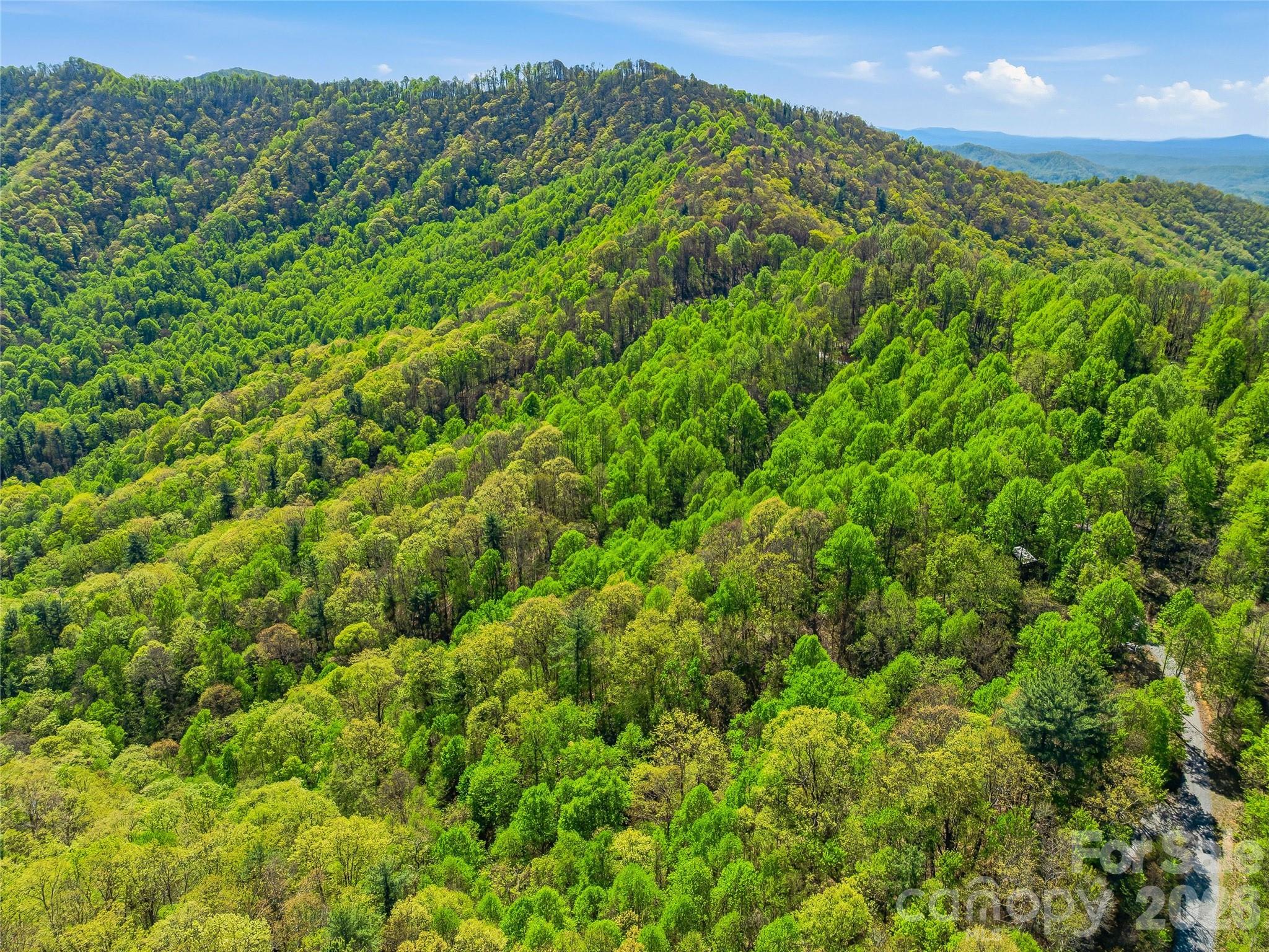 3167 Lumptown Road Marshall NC 28753