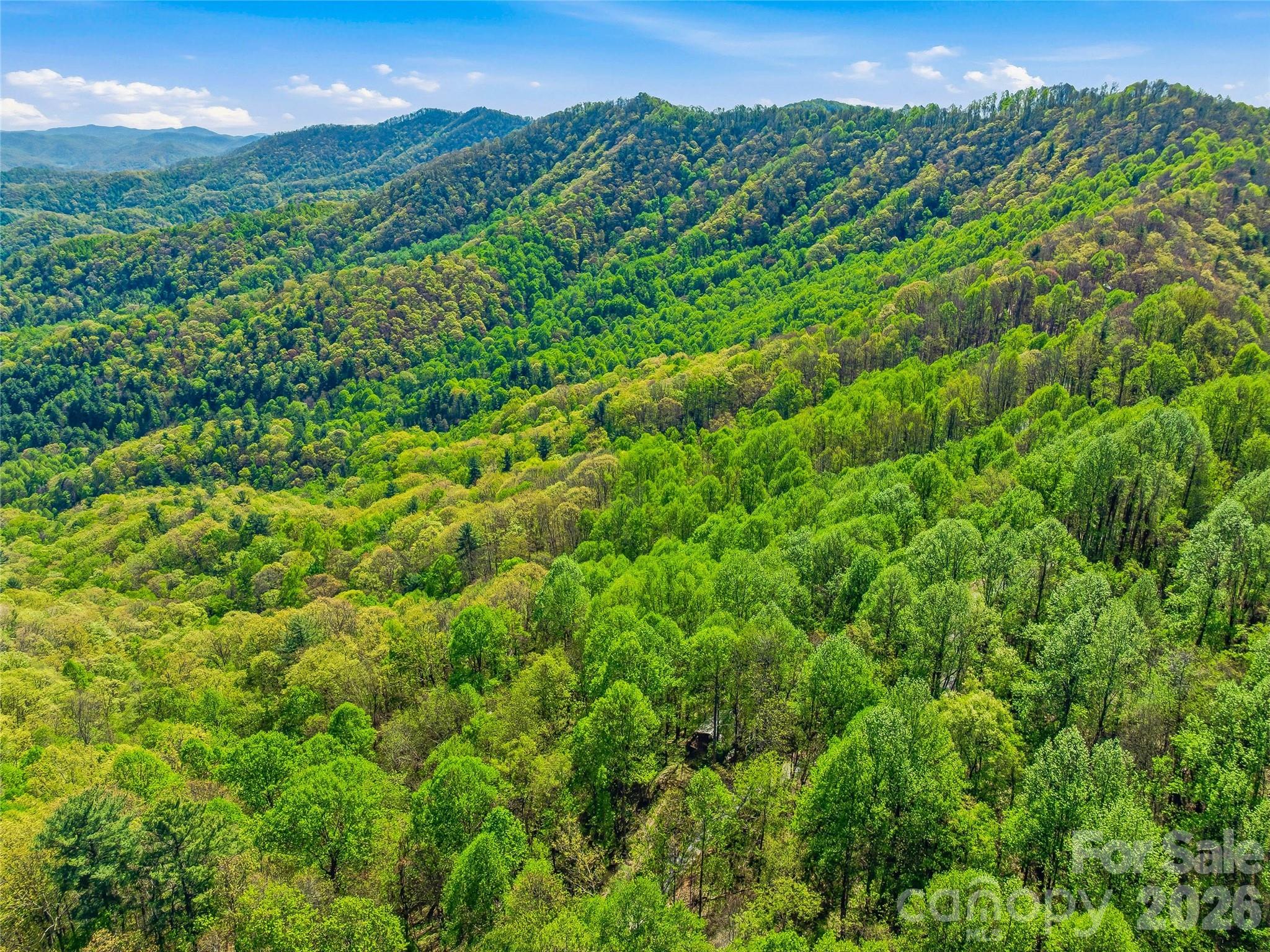 3167 Lumptown Road Marshall NC 28753