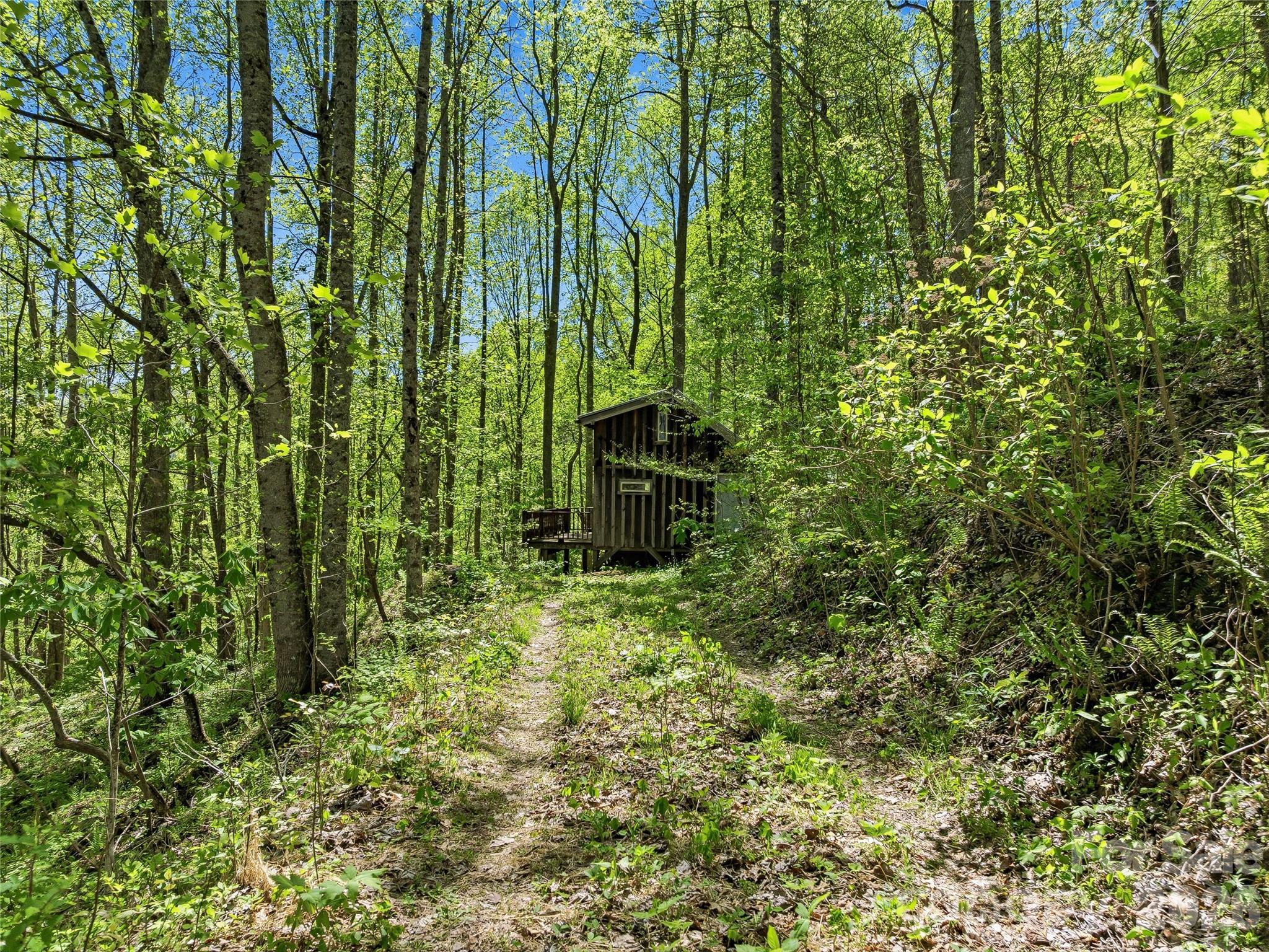 3167 Lumptown Road Marshall NC 28753