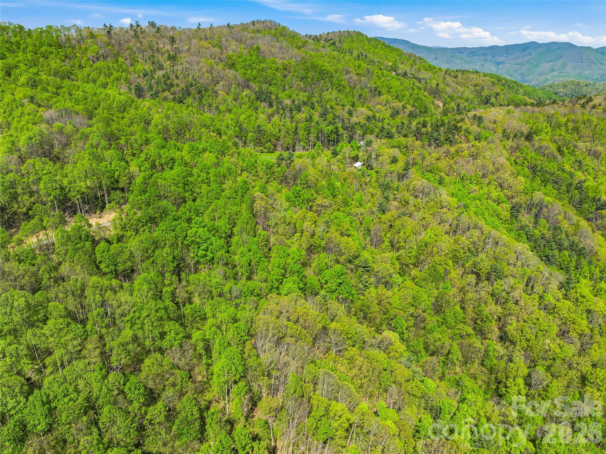 3167 Lumptown Road Marshall NC 28753