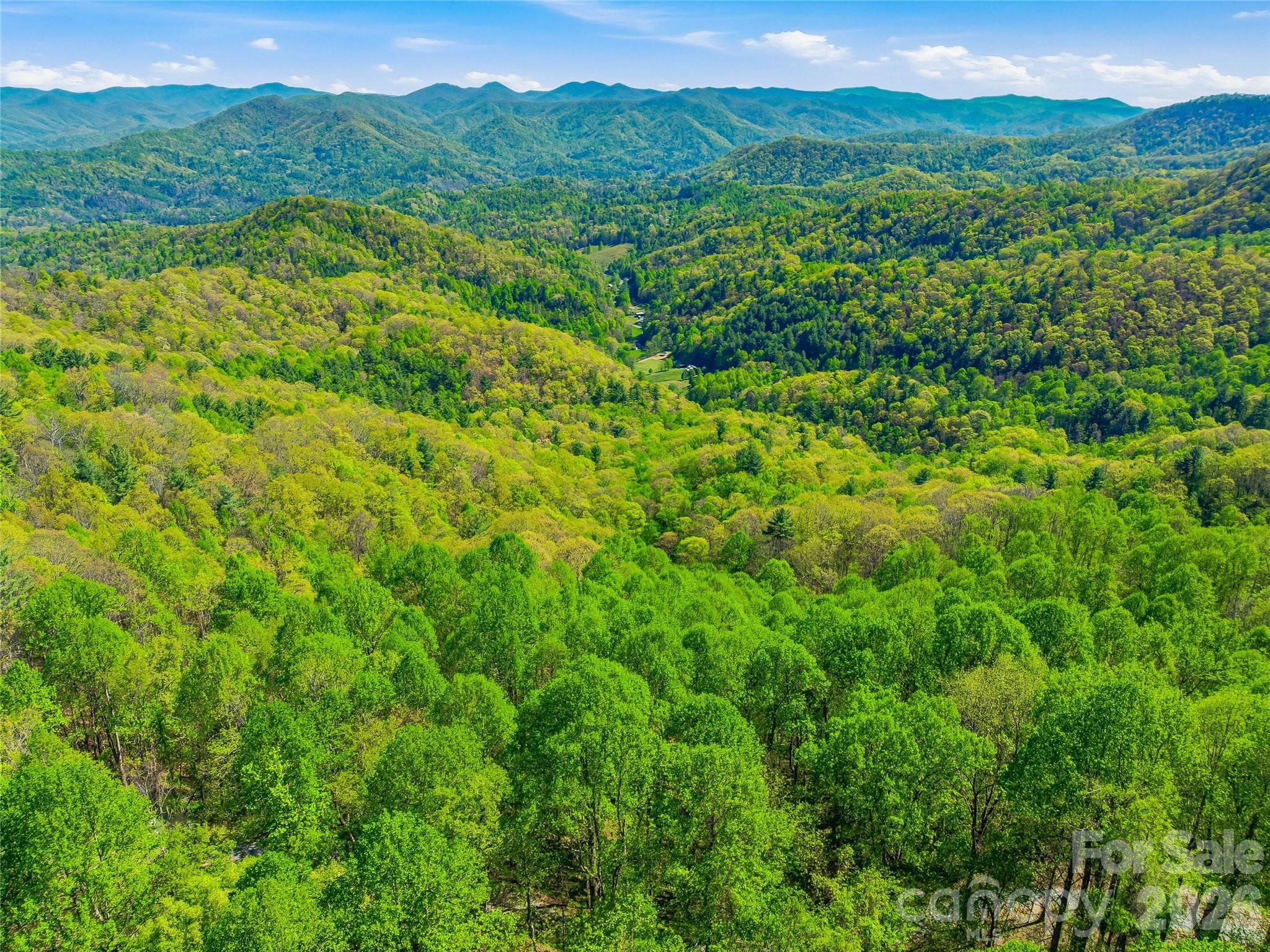 3167 Lumptown Road Marshall NC 28753