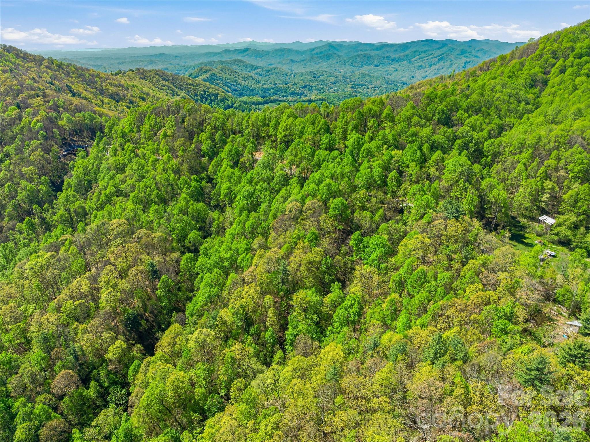 3167 Lumptown Road Marshall NC 28753
