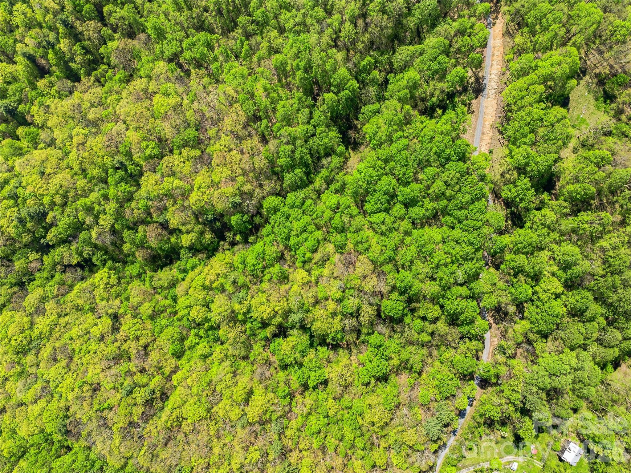 3167 Lumptown Road Marshall NC 28753