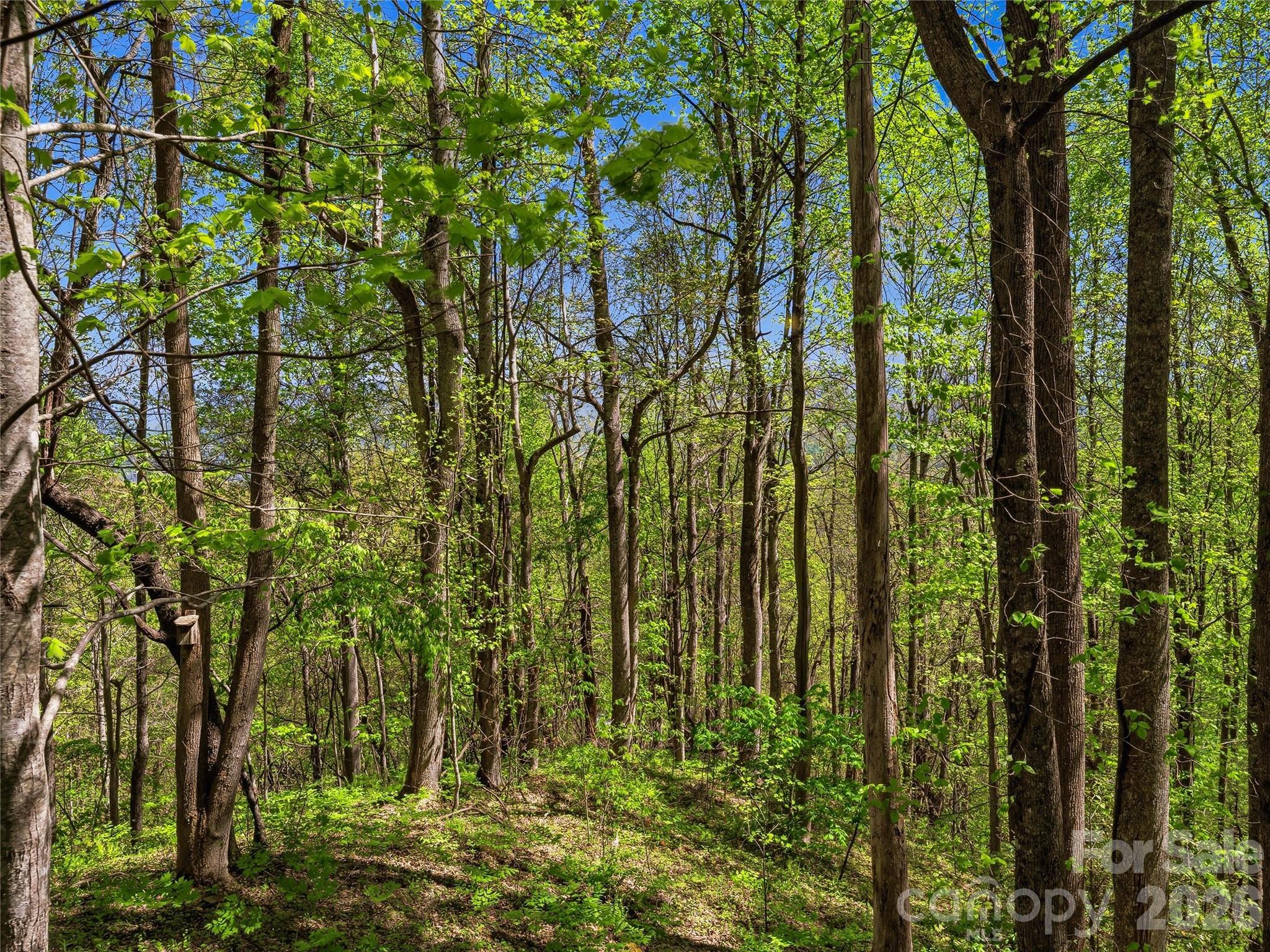 3167 Lumptown Road Marshall NC 28753