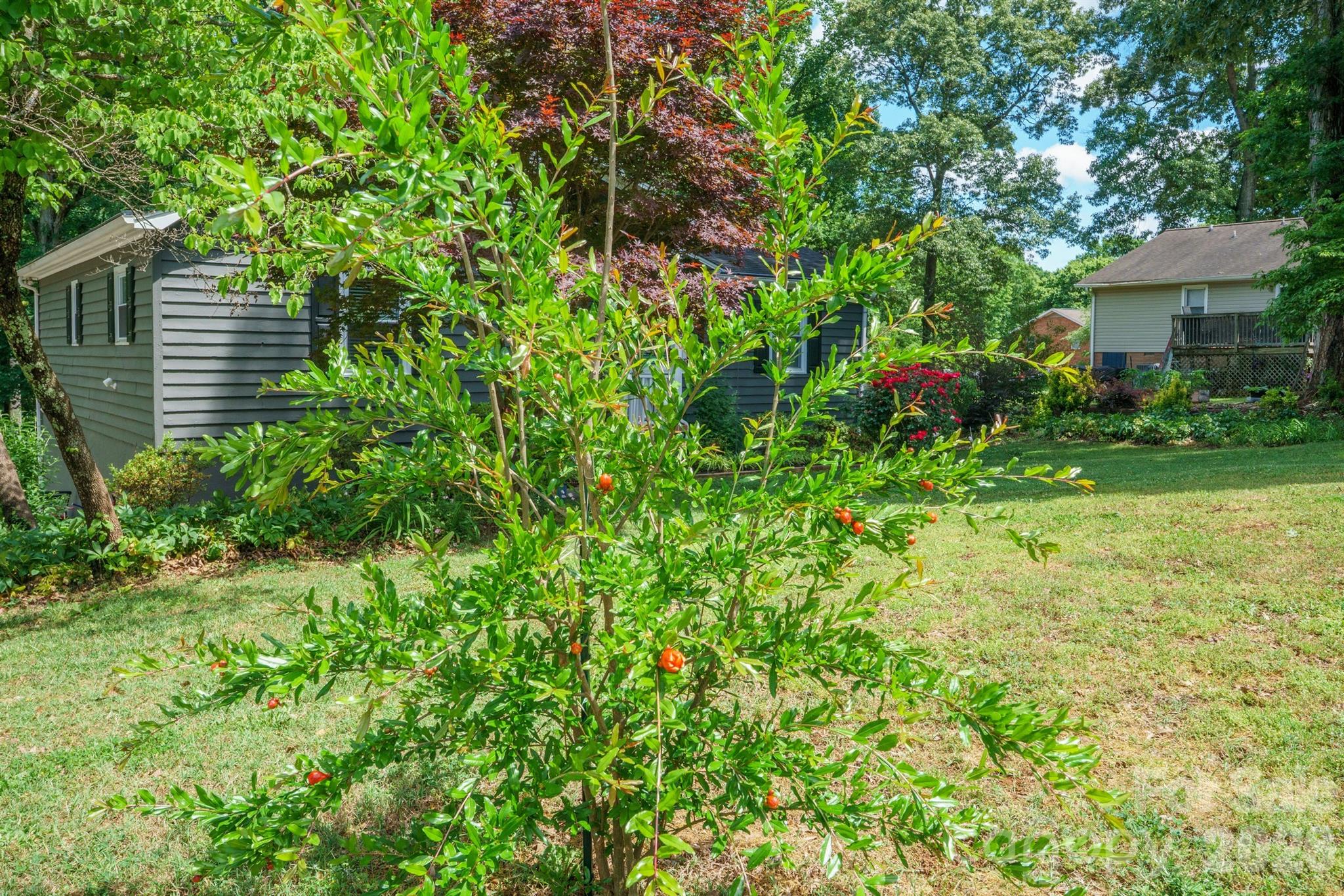 2078 Rock Springs Circle Denver NC 28037
