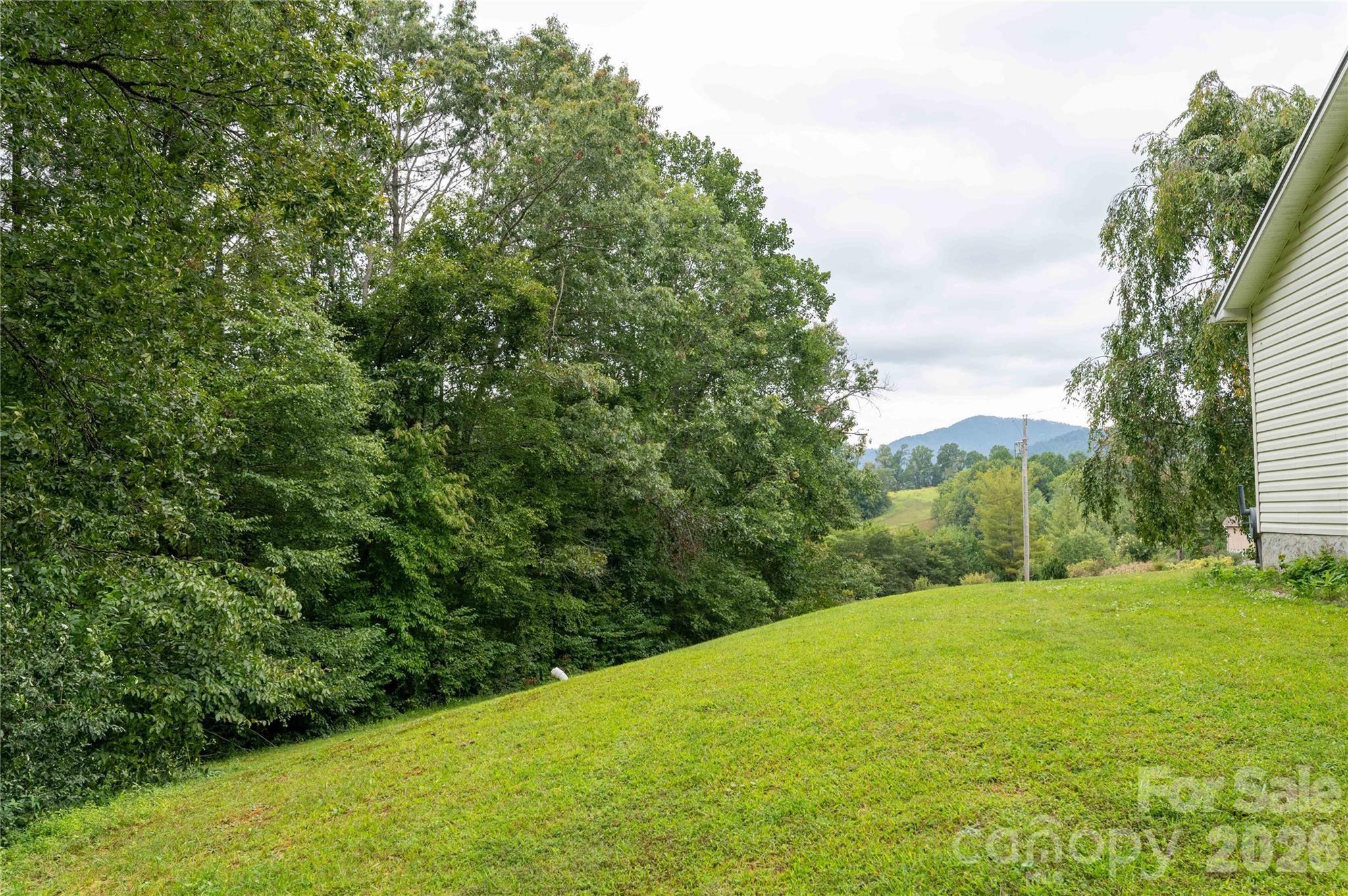 98 Cardinal Lane Burnsville NC 28714