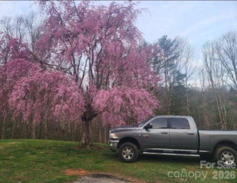 98 Cardinal Lane Burnsville NC 28714