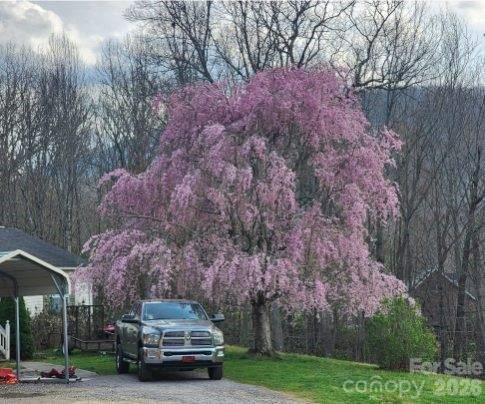 98 Cardinal Lane Burnsville NC 28714
