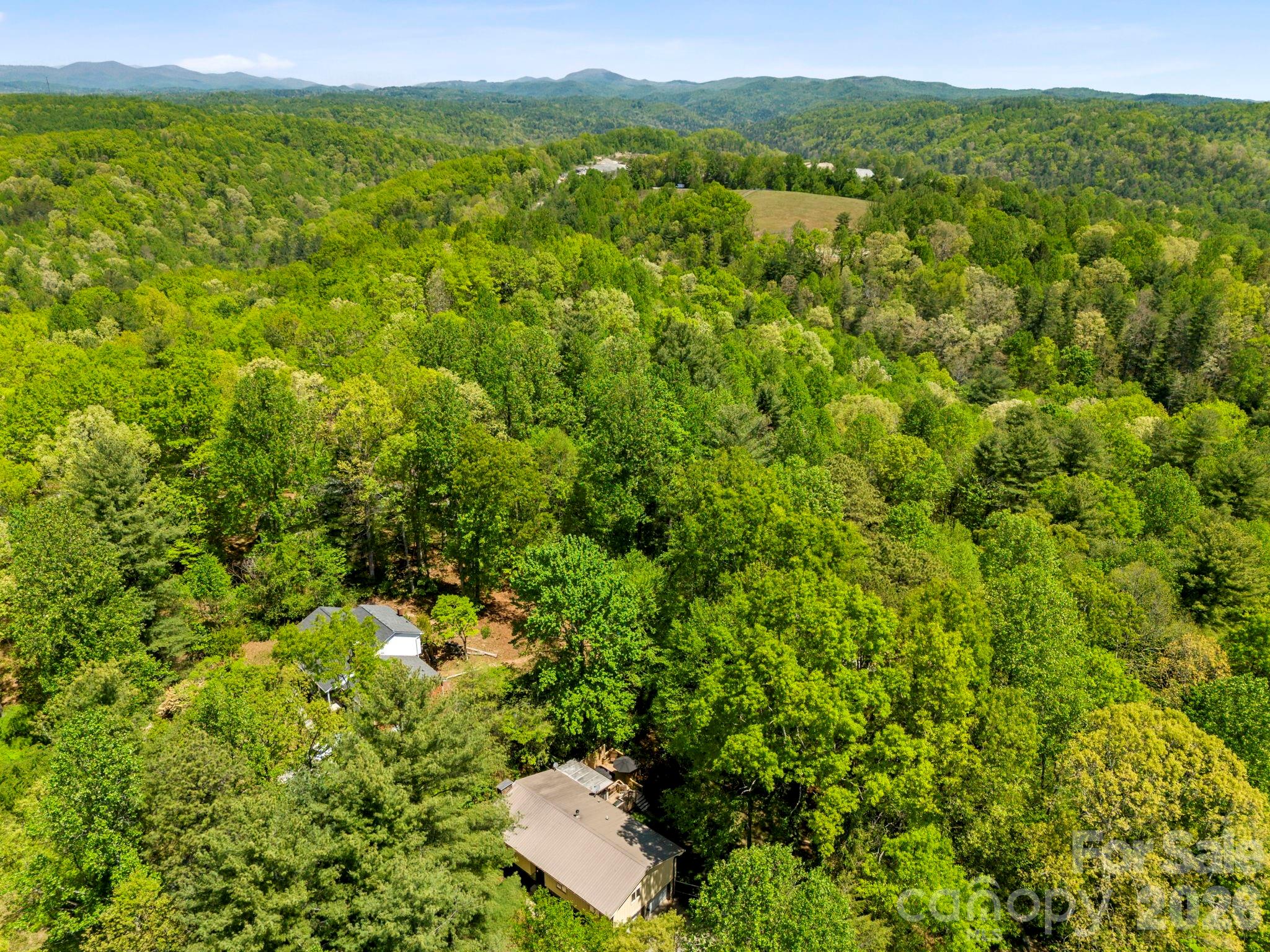 100 Greenbriar Avenue Flat Rock NC 28731